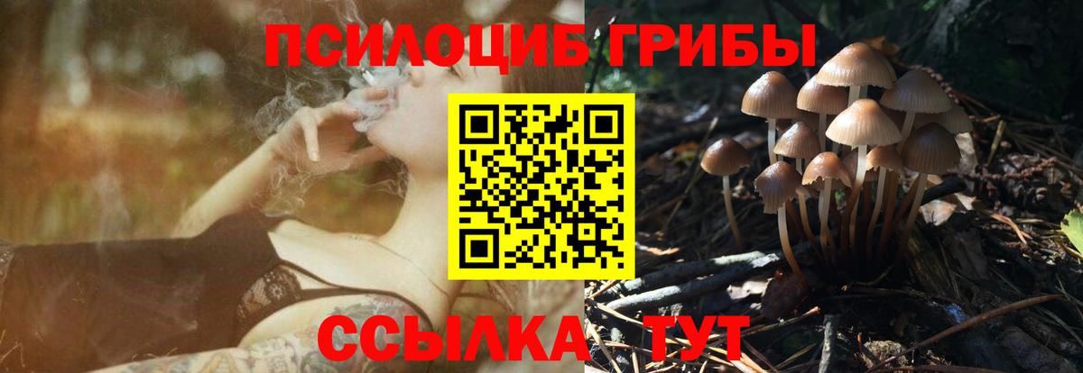Новочеркасск  Псилоцибиновые грибы прущие грибы  Галлюциногенные грибы прущие грибы  Вход с VPN 